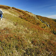 Hohneck im Herbst (c) Denis Bringard