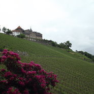 Ortenauer Weintag 2018 auf Schloss Eberstein (c) Weinparadies Ortenau