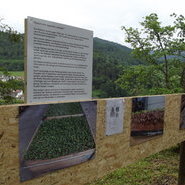 Ortenauer Weintag 2018 auf Schloss Eberstein (c) Weinparadies Ortenau