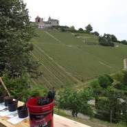 Ortenauer Weintag 2018 auf Schloss Eberstein (c) Weinparadies Ortenau