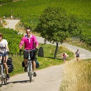 Véloroute du vignoble © INFRA-ADT-AAA