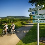 Véloroute du vignoble © INFRA-ADT-AAA