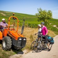 Véloroute du vignoble © INFRA-ADT-AAA