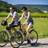 Véloroute du vignoble © INFRA-ADT-AAA