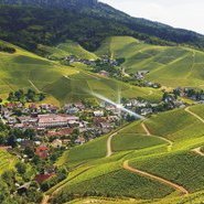 Durbachtal © WG  Durbach
