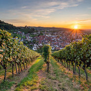 Blick auf Kappelrodeck © TI Kappelrodeck
