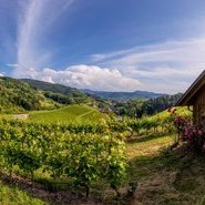 Rebhisli (c) Renchtal Tourismus GmbH/ Hubert Grimmig