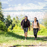 Wandern im Dreisamtal ((c)Dreisamtal-lichtwerk) - Siehe Nutzungsbedingungen  in der Bildgalerie unter www.dreisamtal.de