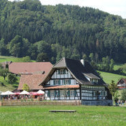 Das Rebhaus (Beate Kierey)