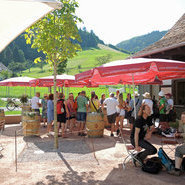 Gut besuchte öffentliche Weinverkostung durch die Badische Weinkönigin Julia Noll und die Badischen Weinprinzessinnen Alisa Höll und Katharina Bruder (Beate Kierey)