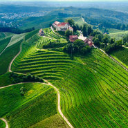 2. Platz Siegerfoto vom Ortenauer Weinpfad von Felix Neumann (c) WPO