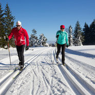Du Ski de fonds à Baiersbronn