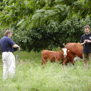 Axel Maier beim Interview Axel Maier beim Interview