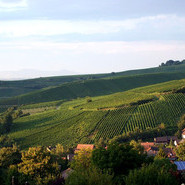 Auggen - Dorfansicht Auggen - Dorfansicht