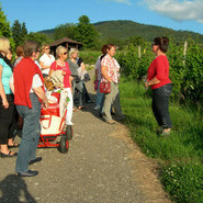 Frischluftkur, Juni 2012, Winzerin Doris Kist erklärt im Weinberg ihre Arbeit