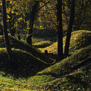 Minenfelder an der Höhe von Les Éparges (Marc PAYGNARD)