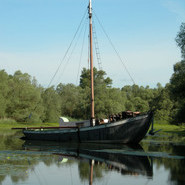 Aalschocker (Hubert Matt-Willmatt) Aalschocker (Hubert Matt-Willmatt)