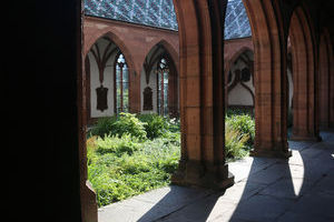 Basel Münster