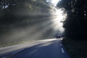 Morgenstimmung auf dem Weg von Ferrette nach Basel