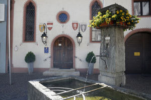 Waldshut Brunnen vor der Spitalkirche