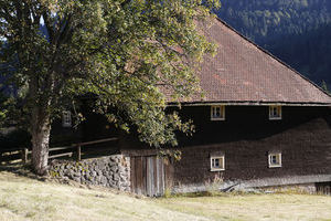 Menzenschwand