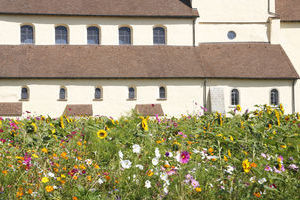 Reichenau Basilika Sankt Georg