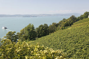 Meersburg Blick von Pension Ödenstein