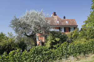 Meersburg Pension Ödenstein