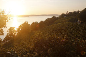 Meersburg Blick von Pension Ödenstein