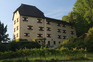 Feldkirch Schloss Amberg