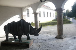 Schloss Ambras Das erste Nashorn in Europa...