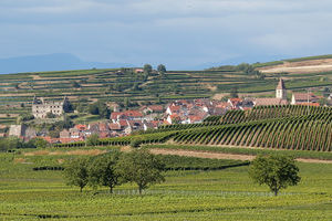 Burkheim am Kaiserstuhl mit Lazarus-Schloss (li)