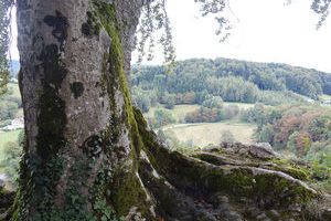 Ferrette Blick von Ruine