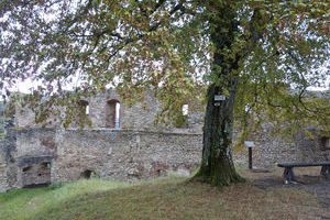 Ferrette Ruine