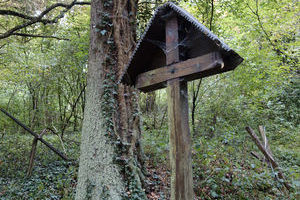 Ferrette im Wald